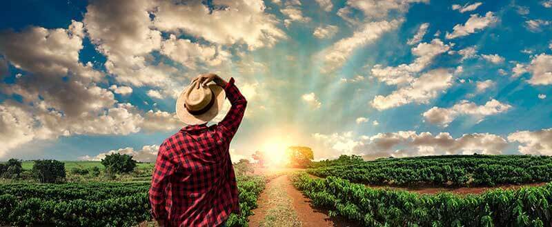 agricultor en Estados Unidos