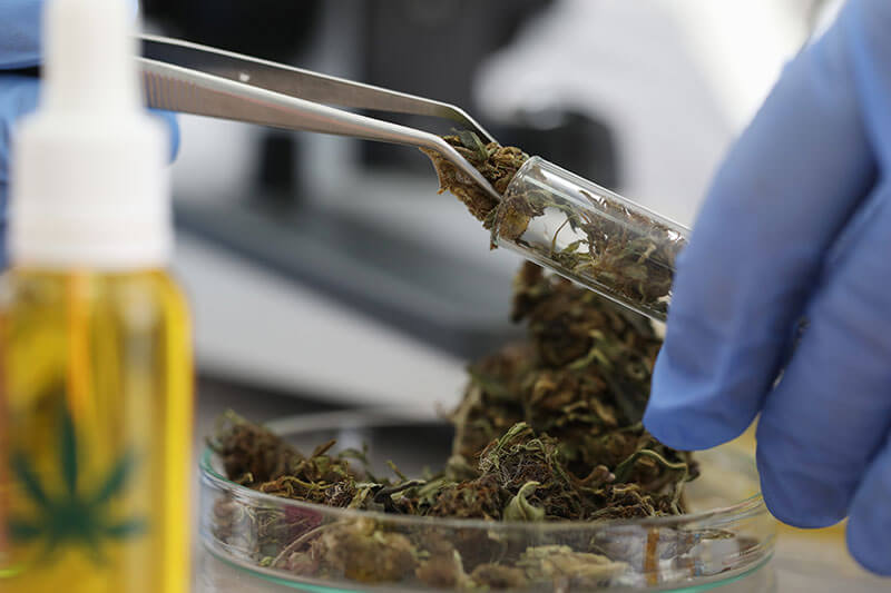 drug manufacturing