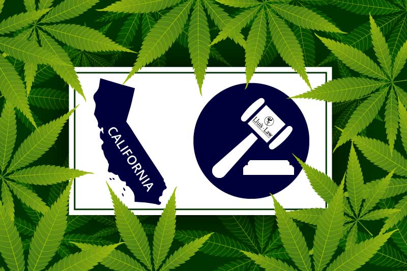 En este momento estás viendo Leyes sobre la marihuana en California